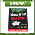 with Peanut Smell Rat Glue Traps